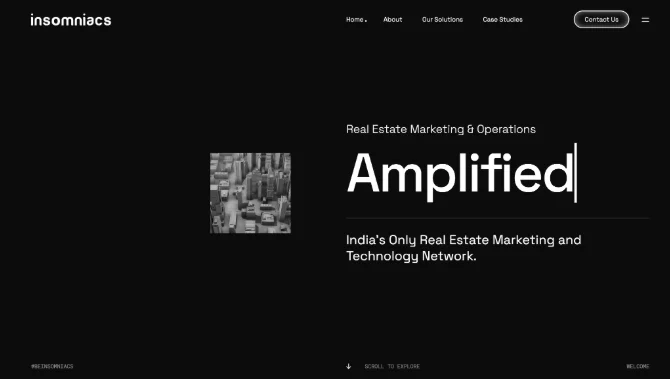 Insomniacs real estate marketing agency in Pune