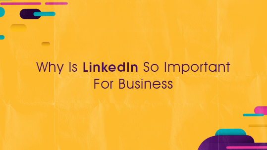 Why Is LinkedIn So Important For Business?