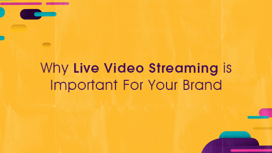 Why Live Video Streaming is Important For Your Brand